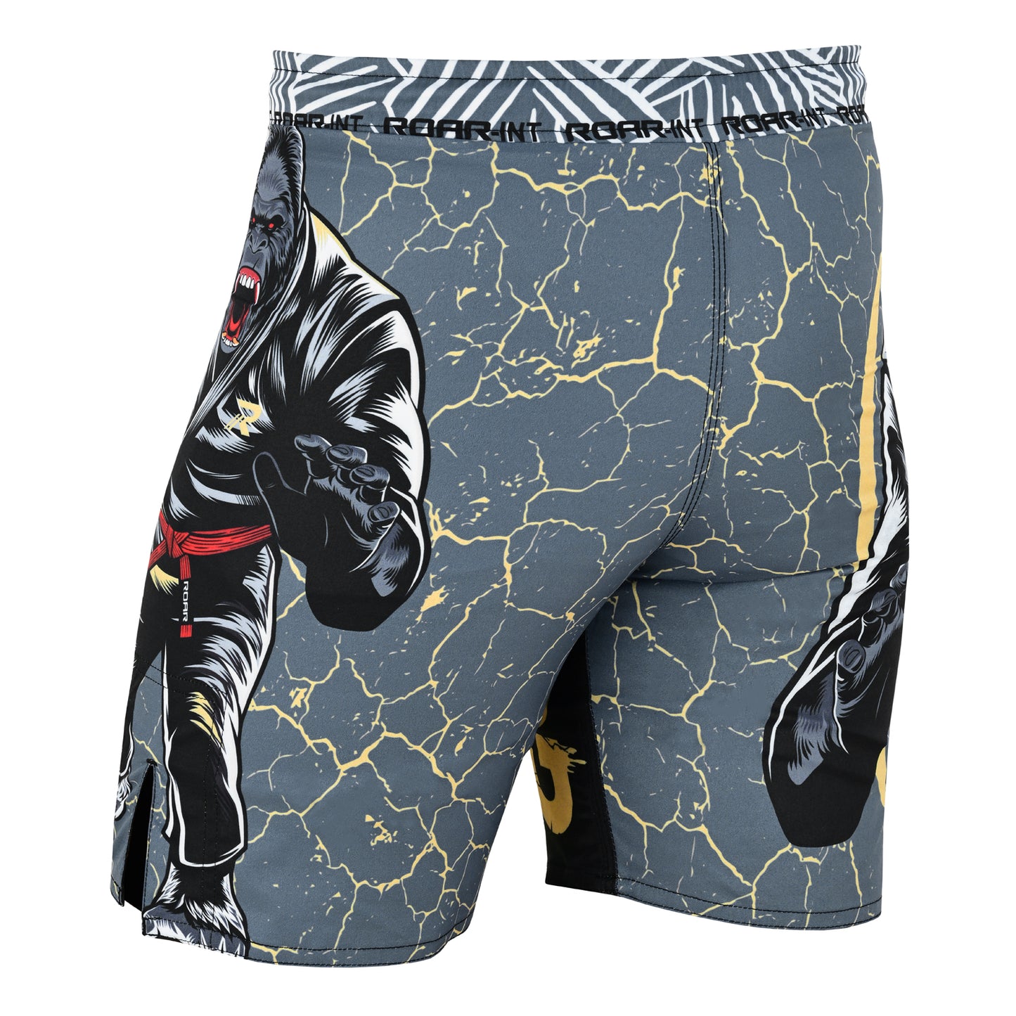 ROAR Kids MMA Shorts & Rashguard Cage Athletic Grappling Muay Thai Trunk Shorts