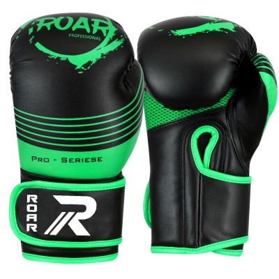 ROAR Curved Focus Pad & Boxing Gloves MMA Kickboxing Hook Jab Punching 